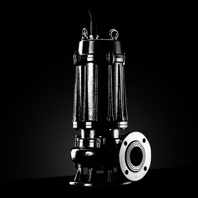 WQ污水污物潛水電泵 南方泵業(yè)